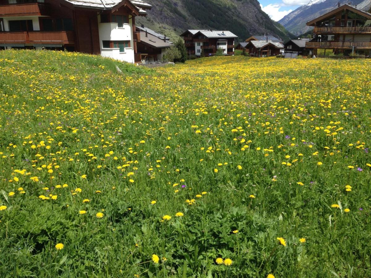 Appartement Haus Marico à Zermatt Extérieur photo