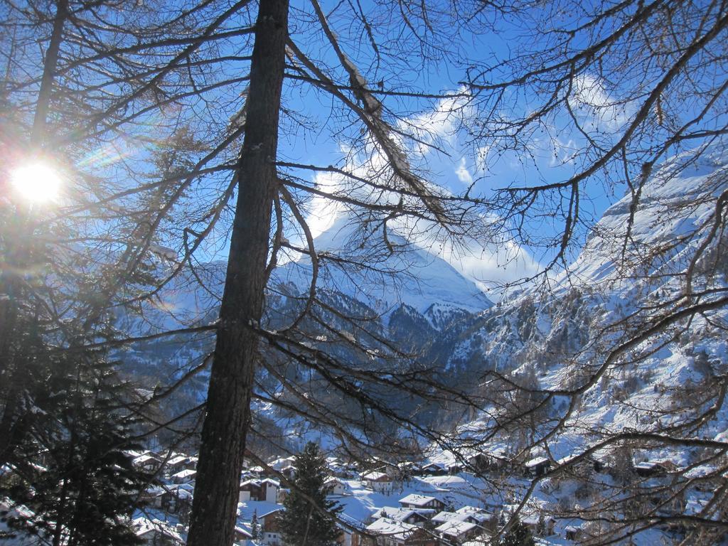 Appartement Haus Marico à Zermatt Extérieur photo